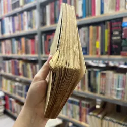 ĐẠI THẮNG MÙA XUÂN - VĂN TIẾN DŨNG  1037992