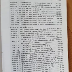 GIẢI PHẪU ĐẦU MẶT CO 752816