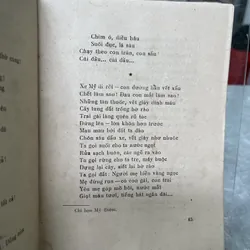 LỬA SÁNG RỪNG 704016