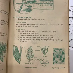 VẠN VẬT HỌC LỚP BẢY - BAN GIÁO SƯ ALPHA 747452