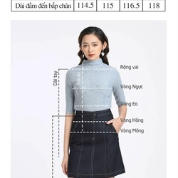 Đầm dạo phố vải linen dáng xòe thân thêu họa tiết chân váy xếp nếp - PANTIO 444308