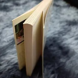 Thơ Szymborska (Tạ Minh Châu dịch) 588775