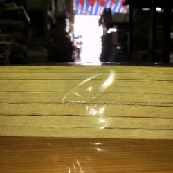 Kanon Hoa Âm - Saito Chiho 779616