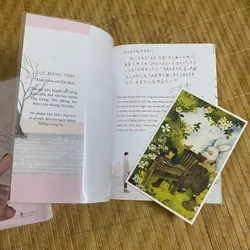 Bên em ngày tháng không tương tư 708038