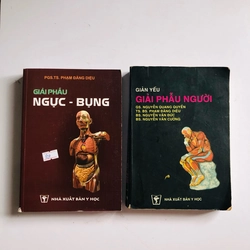 GIẢI PHẪU NGỰC - BỤNG / GIẢI PHẪU NGƯỜI 