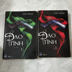 Đạo tình (Bộ 2 tập)