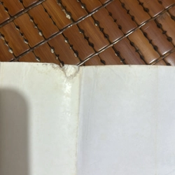 Vườn cục mùa thu  532520