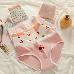 Quần lót nữ vải cotton thun mát size 30-50kg