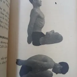 YOGA THIỀN ĐỊNH - NAWAMI 932755