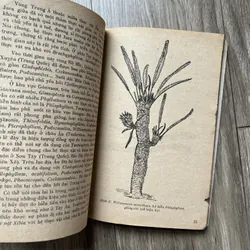 📖 Giới thực vật trong lịch sử trái đất 719242