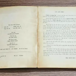 LOGIC & TIẾNG VIỆT (Giáo sư/Tiến sĩ Nguyễn Đức Dân) - 411 trang 1010362