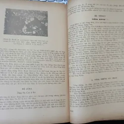 ĐỊA CHẤT VIỆT NAM PHẦN MIỀN BẮC 687503