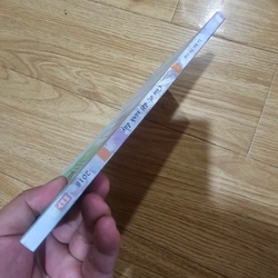 Thơ gia ơi, đời xanh đấy. Tặng cho khách có đơn từ 20k 457753