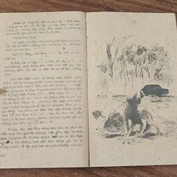 CON BIM TRẮNG TAI ĐEN - NXB Măng Non 1983 (tranh vẽ minh họa) 732140