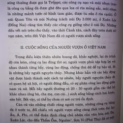 Lịch sử Việt Nam giản yếu 745695