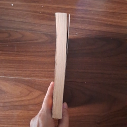Bức tượng bí hiểm 526256