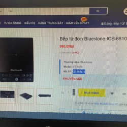 Bếp Từ Đơn BlueStone ICB-6610 19542