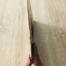 Giáo Dục Đồng Tháp – SỐ XUÂN Quý Dậu 1993 929462