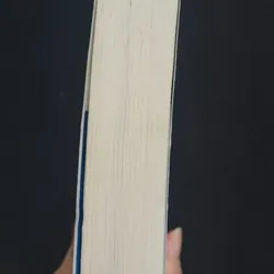 Tiếng Thét - Hamanaka Aki 595413