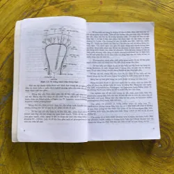 BỆNH THẬN - chủ biên PGS.BS. TRẦN VĂN CHẤT 937505