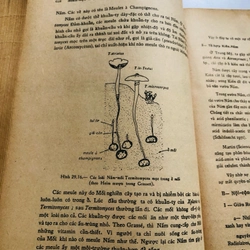 📚 SINH HỌC THỰC VẬT (Phạm Hoàng Hộ) 📚 503986