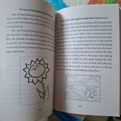 Combo sách Kiến thức thiếu nhi 936342