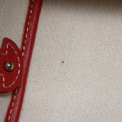 Túi đeo vai Petit Flot Goyard 612133