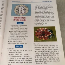 Từ điển 100 món ăn Việt Nam 995091