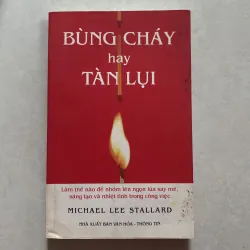 Bùng cháy hay tàn lụi - Michael Lee Stallard
