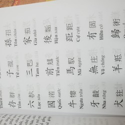TAM THIÊN TỰ (TRÌNH BÀY VIỆT - HÁN - NÔM) 194298