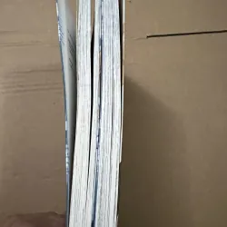 Sword Art Online (SAO) 1008345