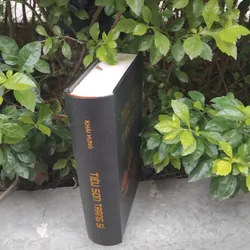 Tiêu Sơn tráng sỹ tiểu thuyết của Khái Hưng  733480