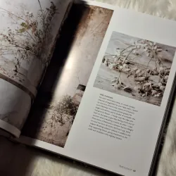 Lucy Hunter - The Flower Hunter: Creating a Floral Love Story Inspired by the Seasons 957122