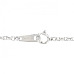 Dây chuyền PT850 - Hàng hiệu Authentic 866215