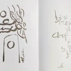 Y Đạo Ca - Trương Thìn 788661