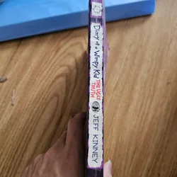 Diary of a Wimpy Kid the ugly truth 20k 654890