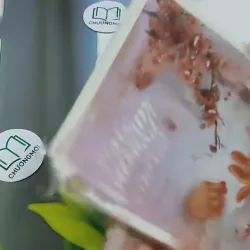 Việt Nam Của Tôi - Những Câu Chuyện Nhận Con Nuôi 705739