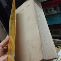 Truyện Việt Nam TK XIX 1026096