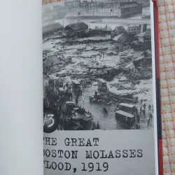 I SURVIVED: TRUE STORIES – FIVE EPIC DISASTERS - Lauren Tarshis 975136