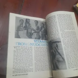 KIẾN THỨC NGÀY NAY số 41 ngày 15.8.1990 674908