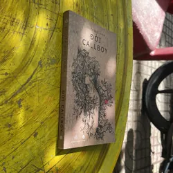 ĐỜI CALLBOY- (3)- NGUYỄN NGỌC THẠCH 706853