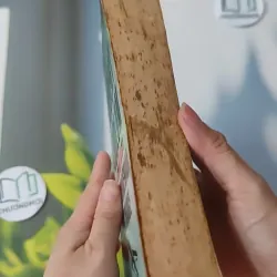 The Rhinemann Exchange - Robert Ludlum 1027201