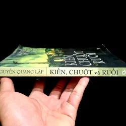 Kiến,  Chuột và Ruồi  1005663