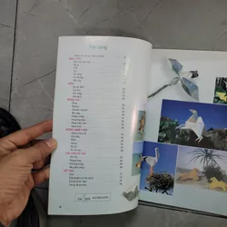 Nghệ Thuật Xếp Giấy Nhật Bản Origami 735040