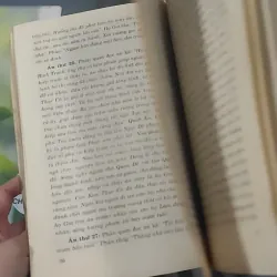 Hồi Dương Nhơn Quả 1018902