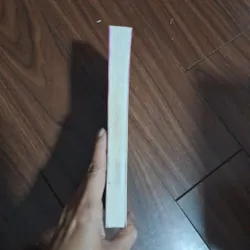 Hoa hồng giấu trong cặp sách  706607