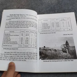 NAM BỘ XƯA & NAY 957493