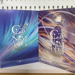 Tiểu thuyết Cây nấm nhỏ bản thường