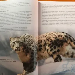 Reading explorer (Sách nhập) - 6 quyển - Phiên bản mới 758751