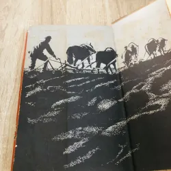 Đất vỡ hoang – tiểu thuyết nổi tiếng của Mikhail Sholokhov 929075